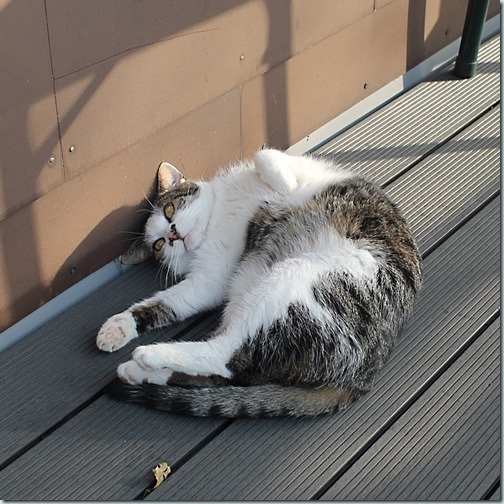 16102017II 16102017II